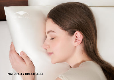 Mantae Silk Pillowcase DUO